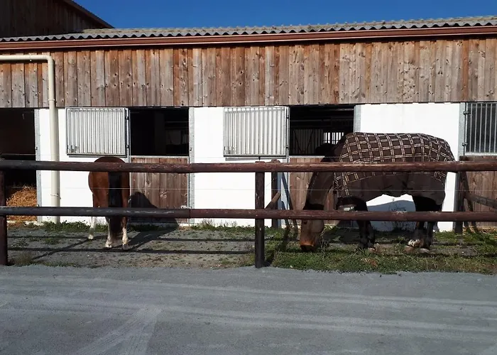 Gite Du Haras
