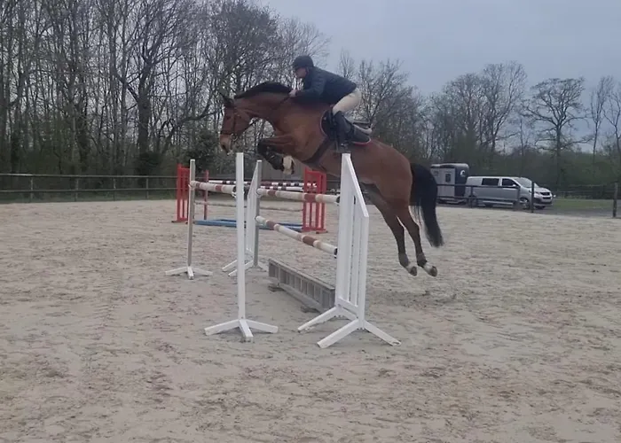 Gite Du Haras