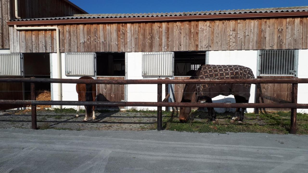 Apartment Du Haras *