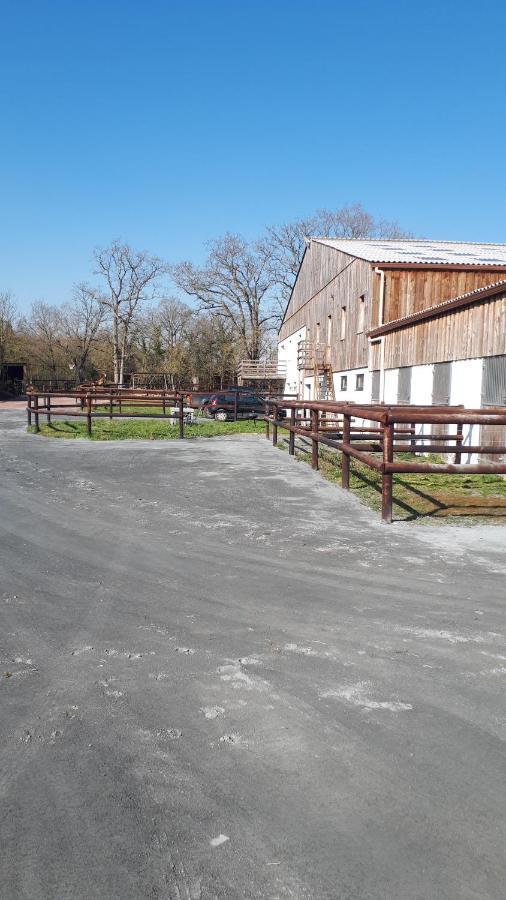Du Haras Moult